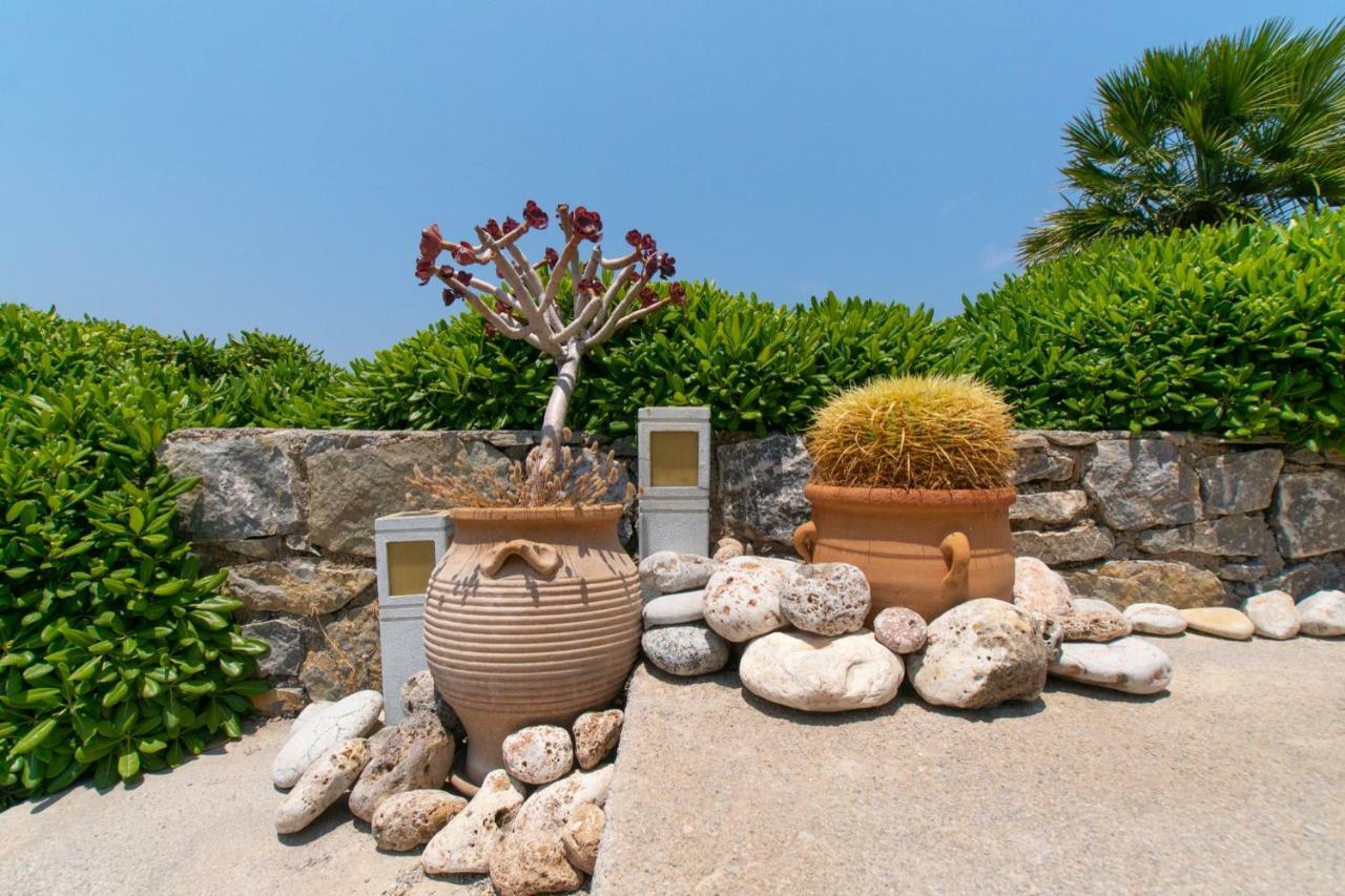 Villa Aiolos Palekastro Zewnętrze zdjęcie